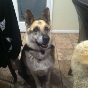 Meet your Posher, Aj